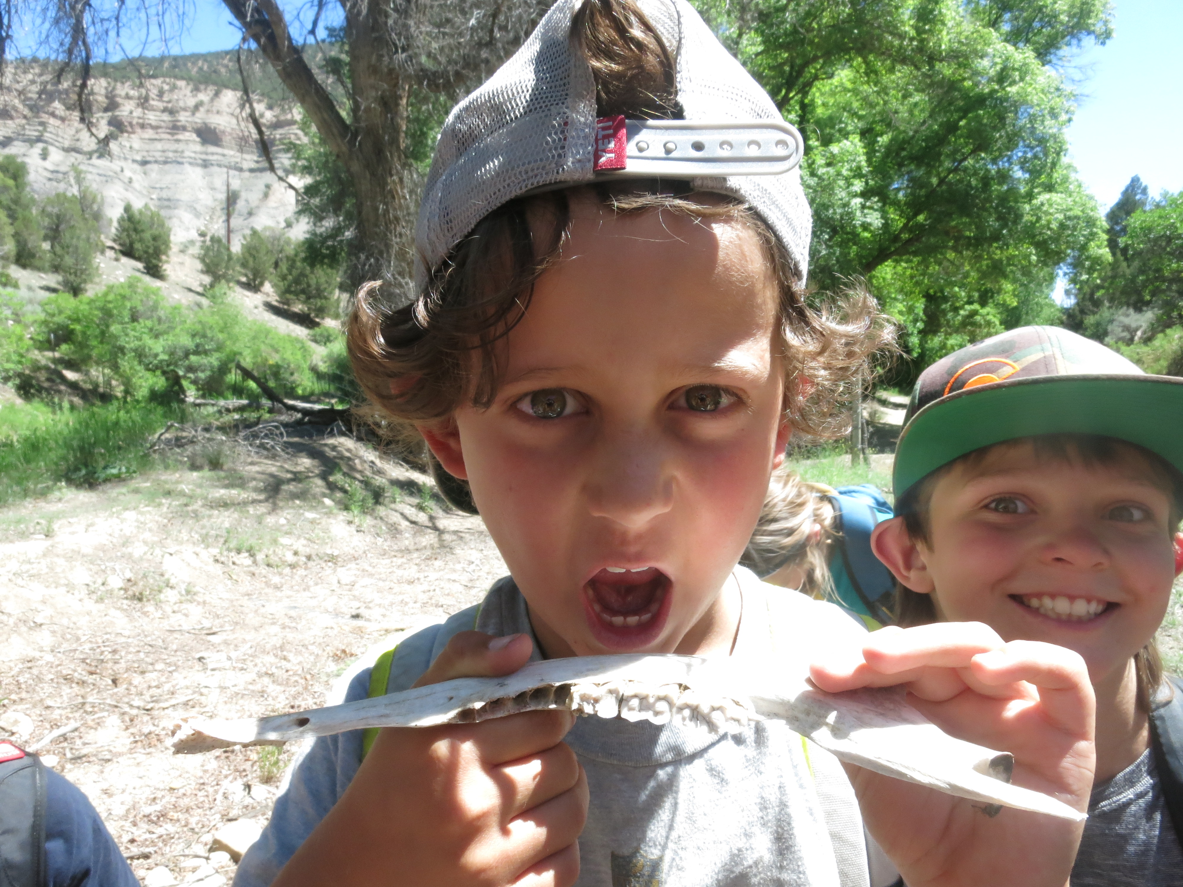Vail Summer Science Camps Walking Mountains Science Center