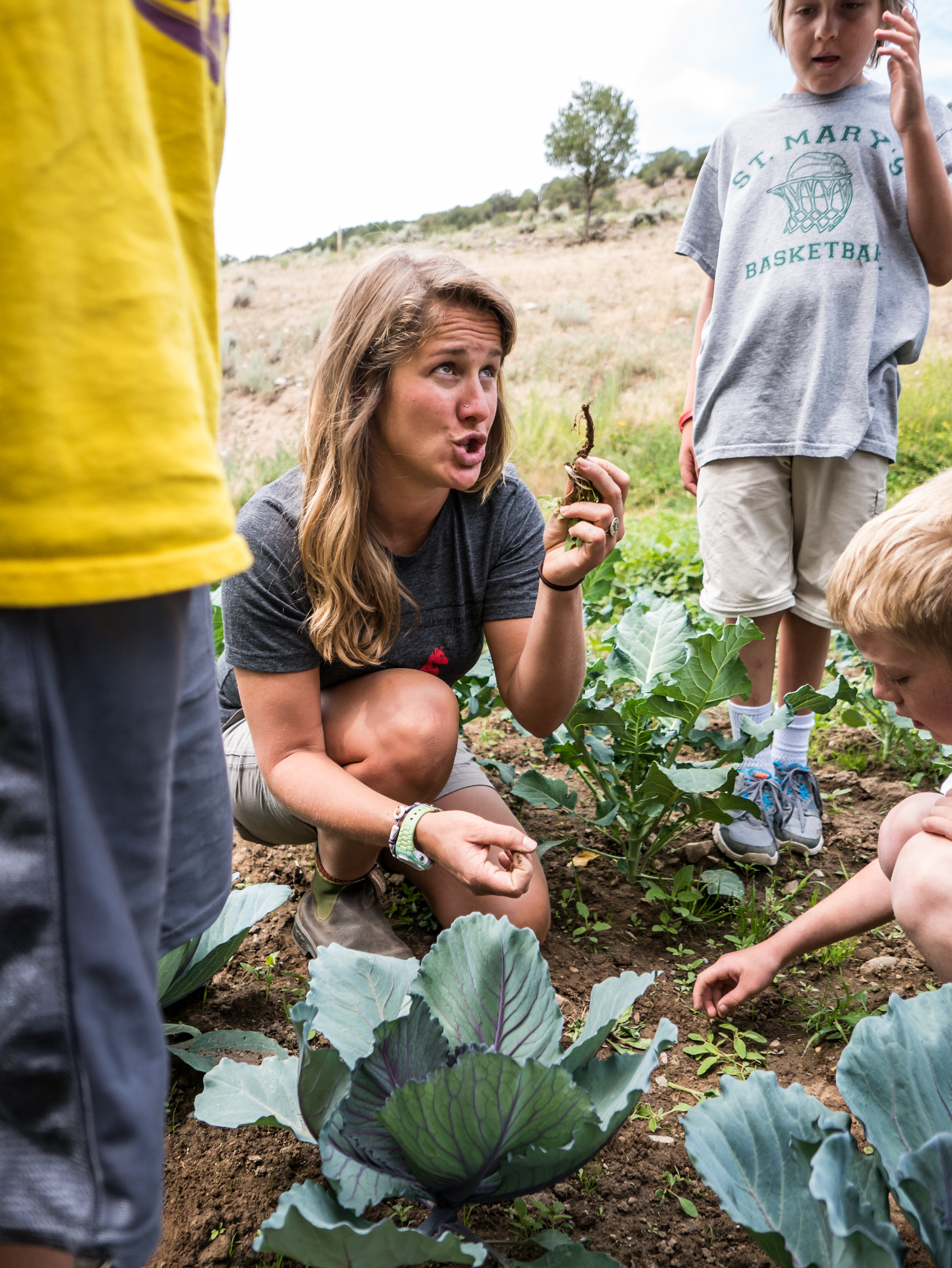 Vail Summer Science Camps Walking Mountains Science Center