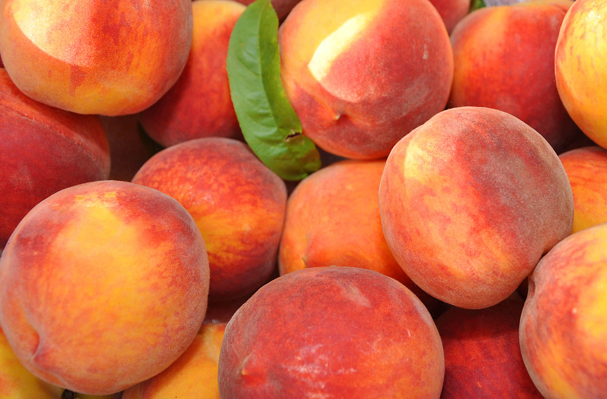 Just Peachy