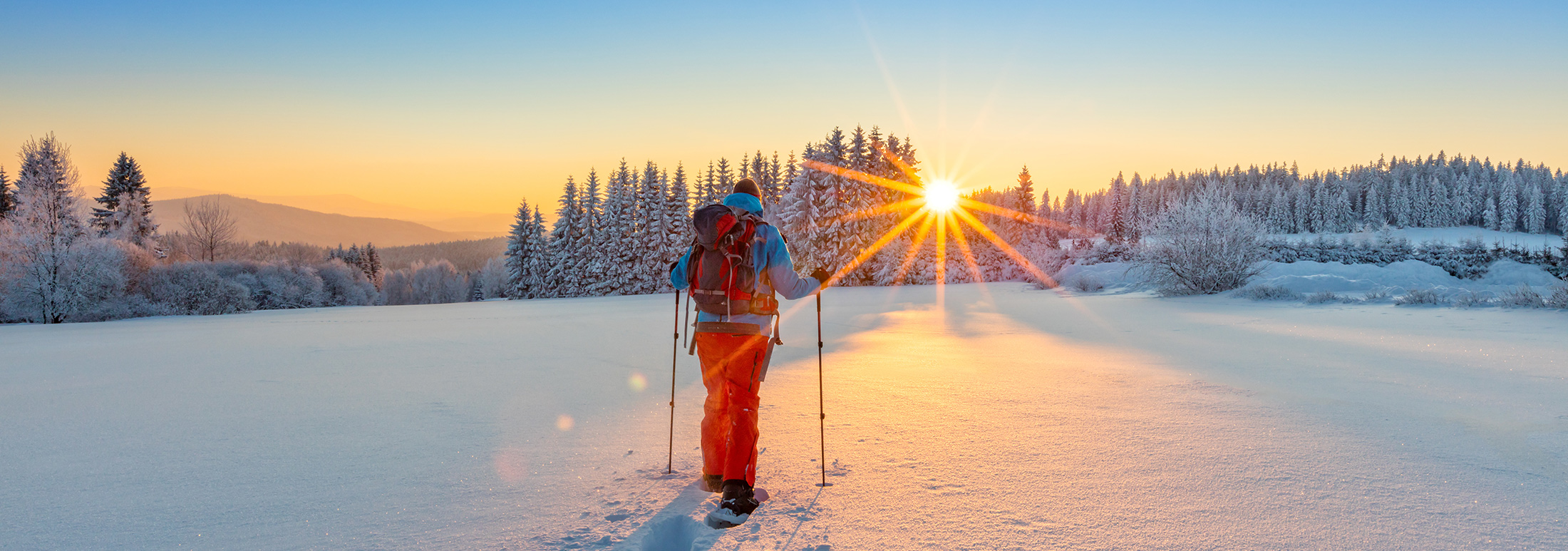 Excursiones guiadas con raquetas de nieve en Vail