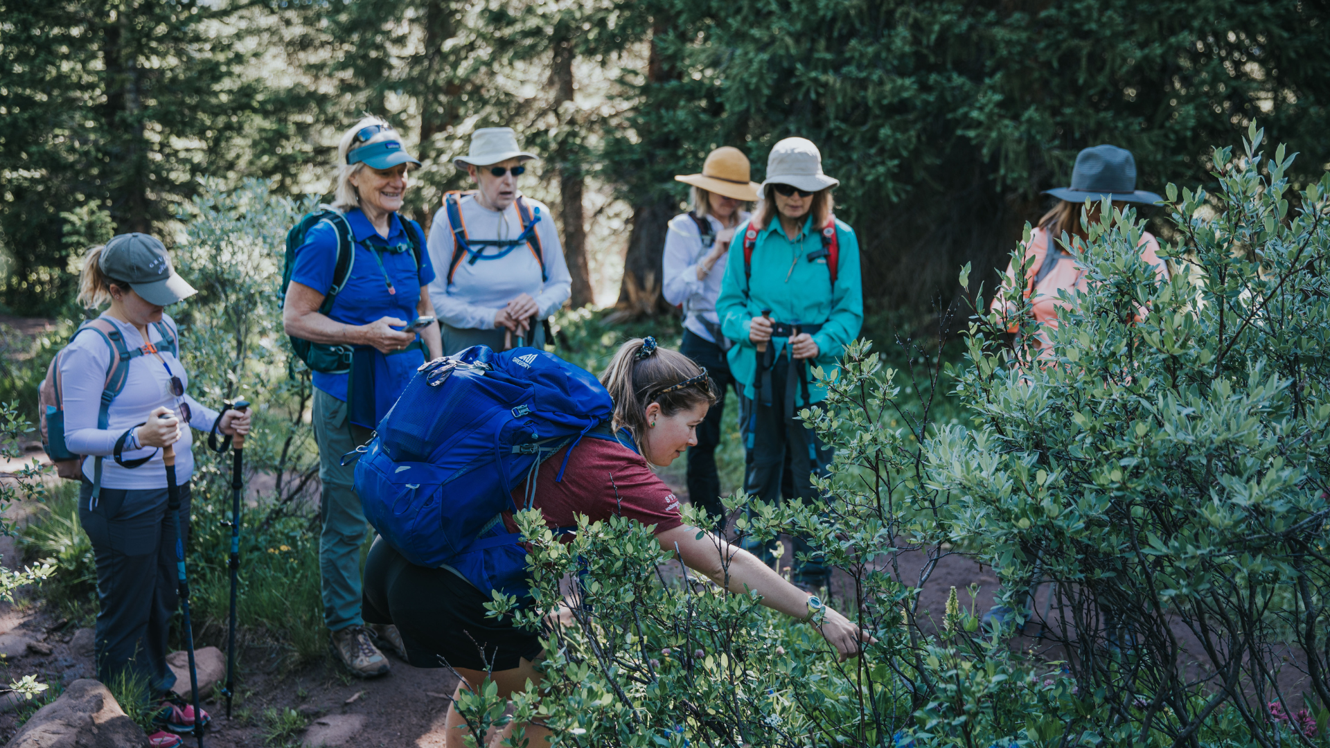 Hiking through the ecosystems