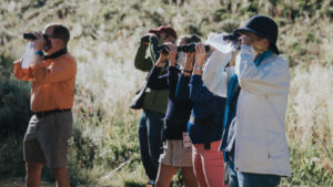 Morning Bird Walk