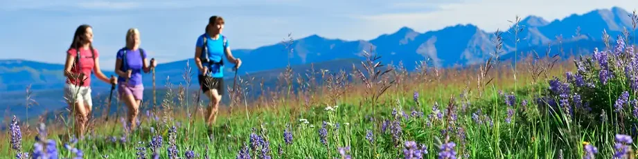 Public Backcountry Hike – Mountain #4