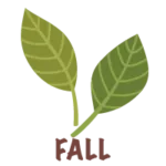 leaf icon