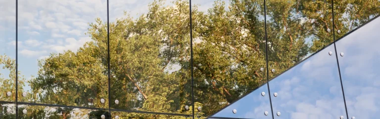 trees on a window reflection