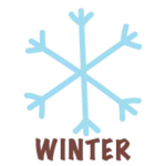 snowflake icon