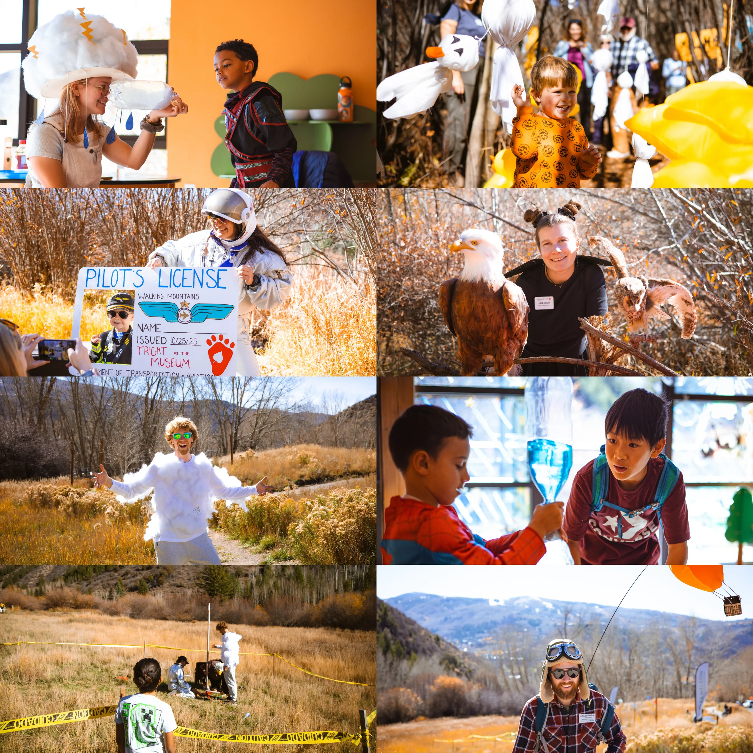 blog.JD.12