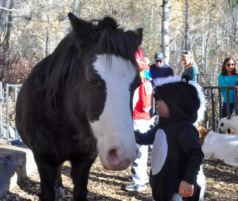 wm.event.fright.at.the.museum.horse