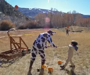 Pumpkin Chunkin