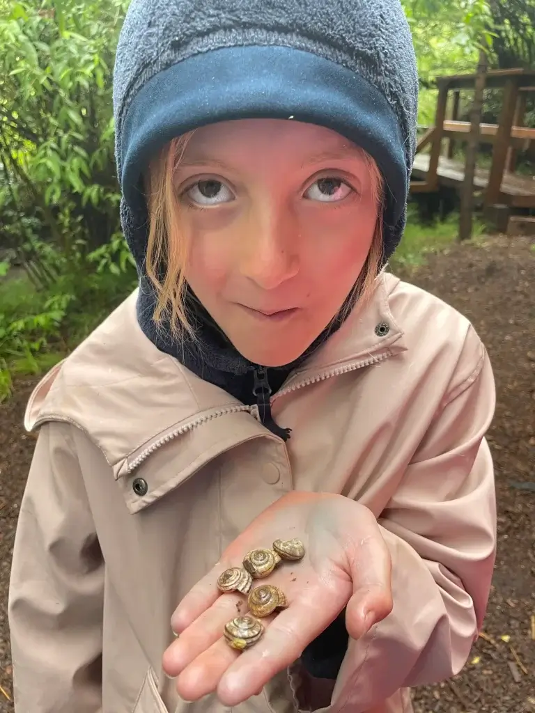 wm.blog.fellows.snail.II