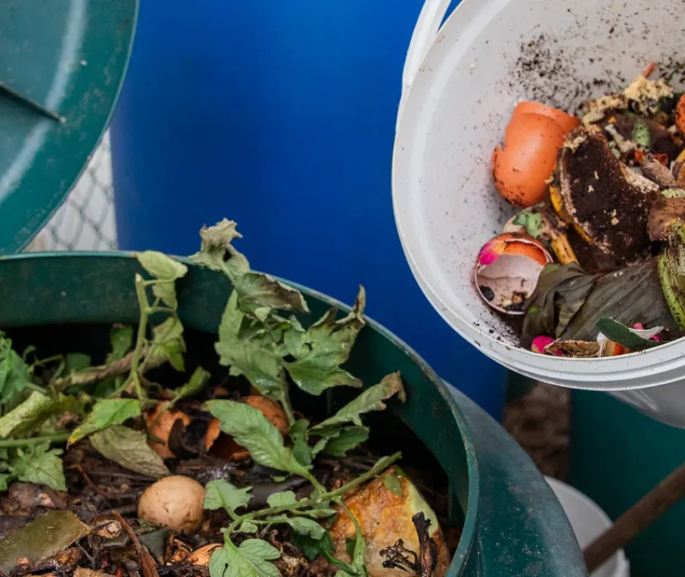 backyard-composting-hero