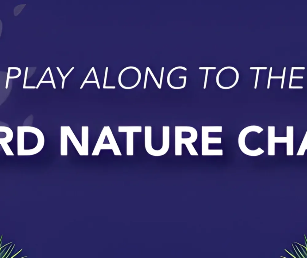 backyard nature challenge hero