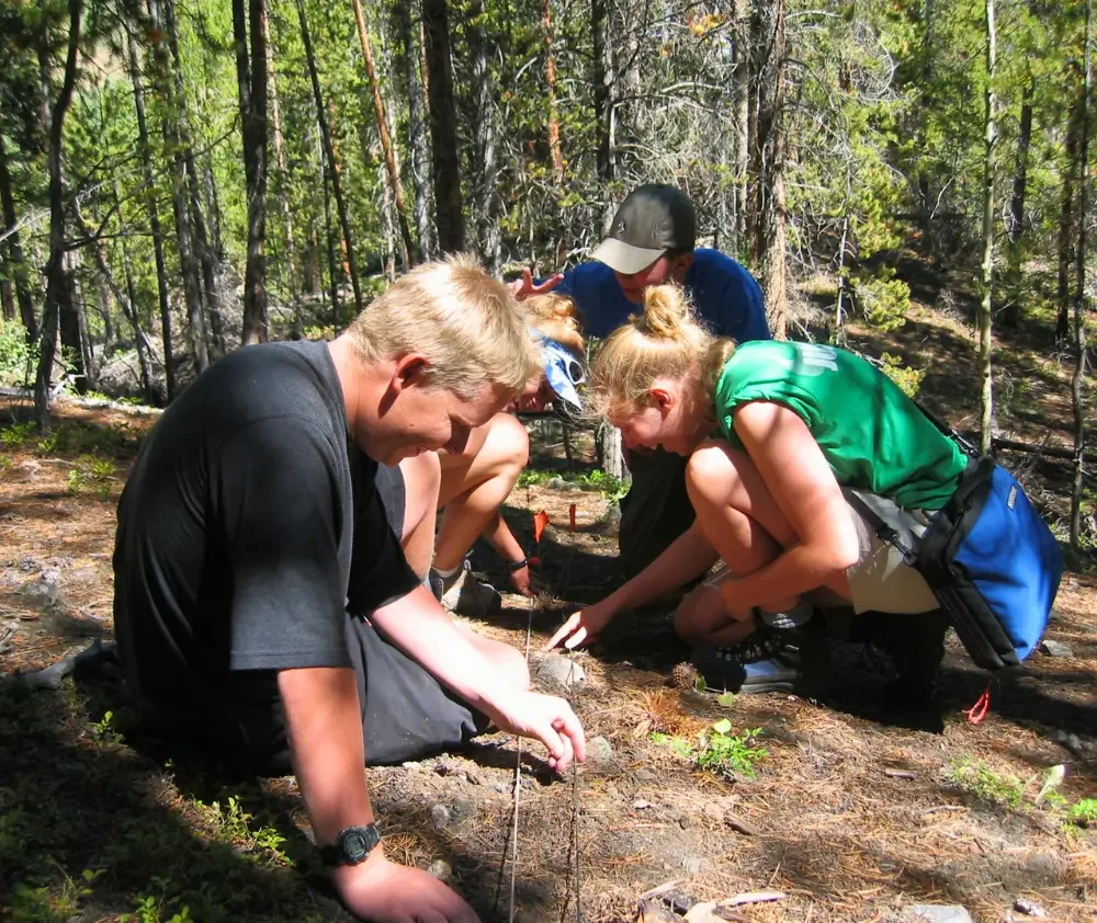 blog.curious.nature.counting.scat.featured