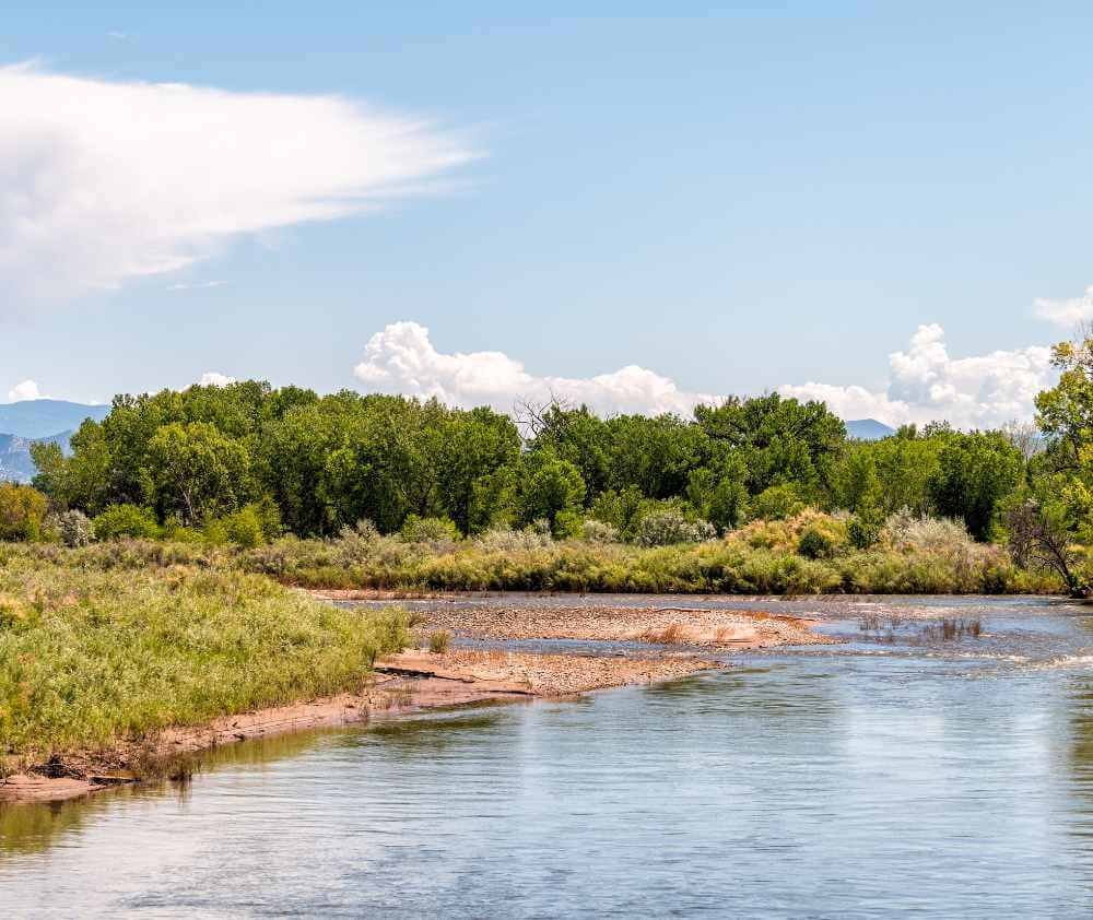 blog.curious.nature.eagle.river