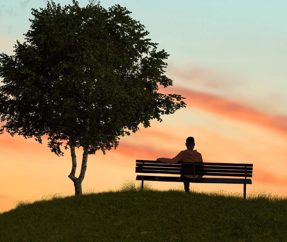 blog.curious.nature.sunset.tree