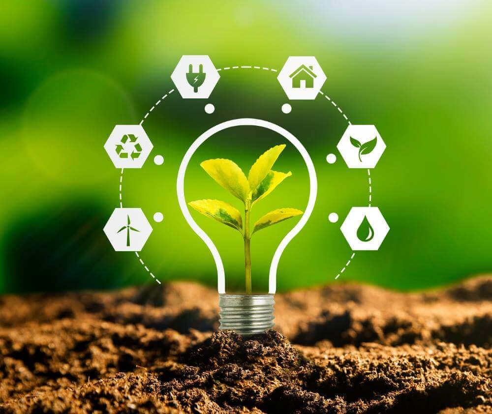 blog.curious.nature.sustainability.featured