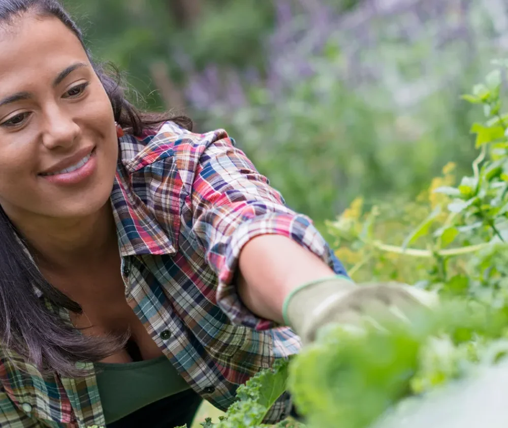 curious-nature-gardening-at-high-altitude-in-colorado-hero