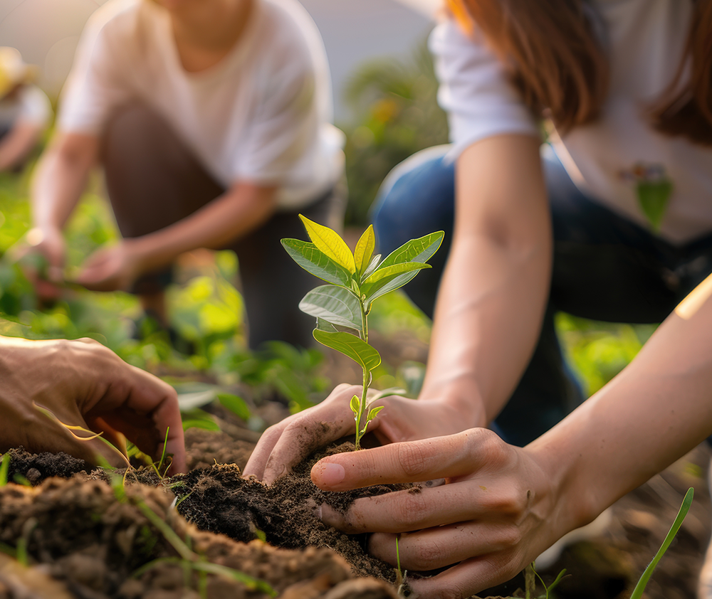 img.website.hero.climate.action