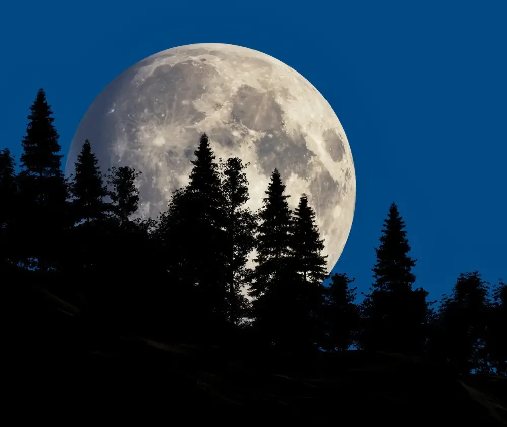 wm.blog.moon.featured