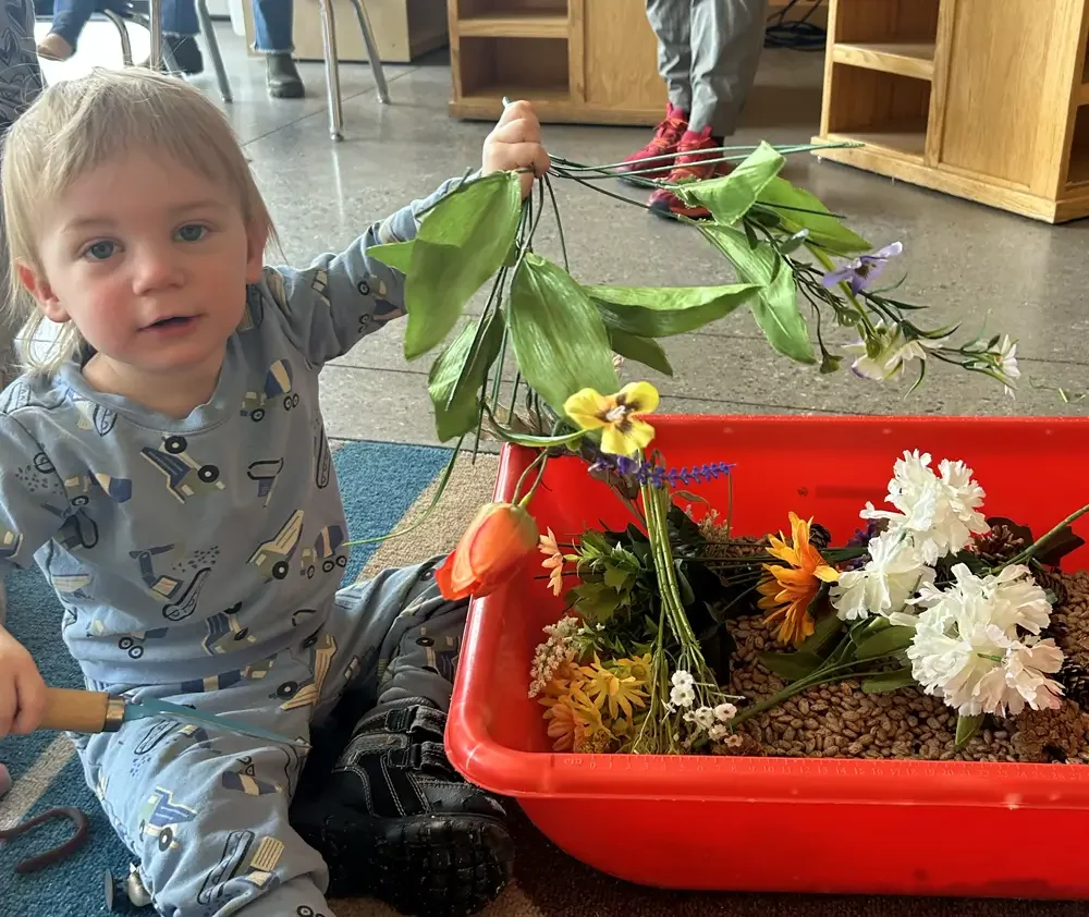 wm.website.img.series.nature.tykes